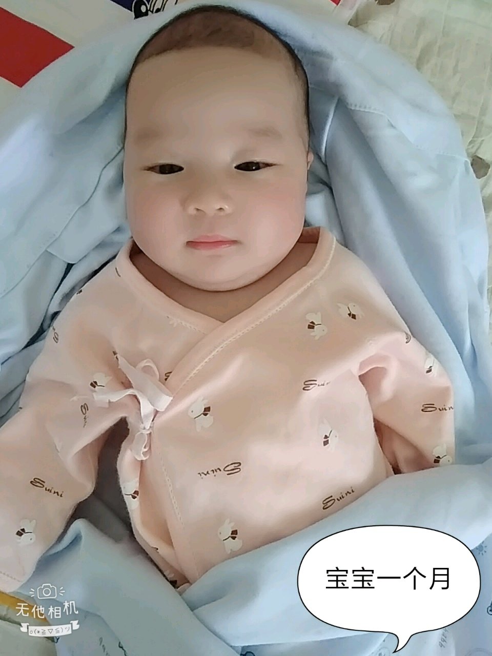 宝宝五个月零十几天
