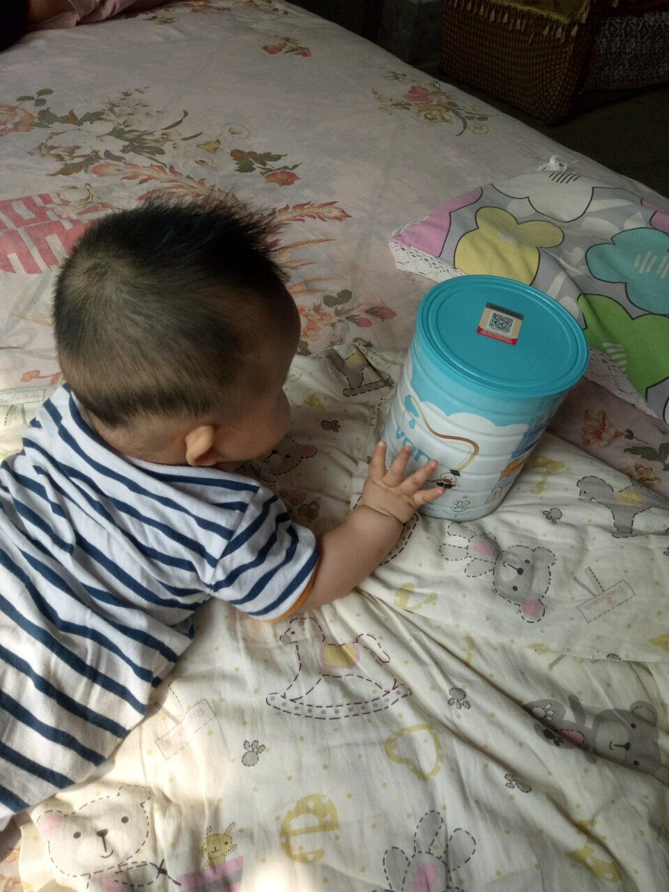 ding~奶粉推荐   澳洲vdlvan婴幼儿奶粉
