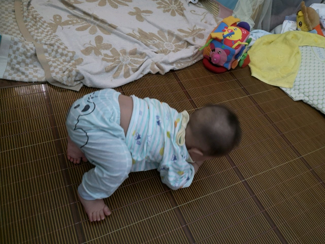 学爬！