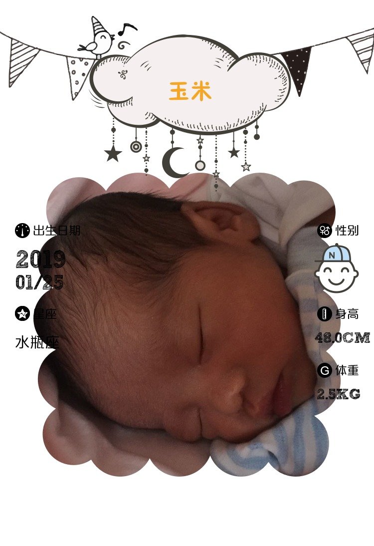 【报喜】玉米出生了