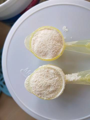 journal_insert_pic_1329855279