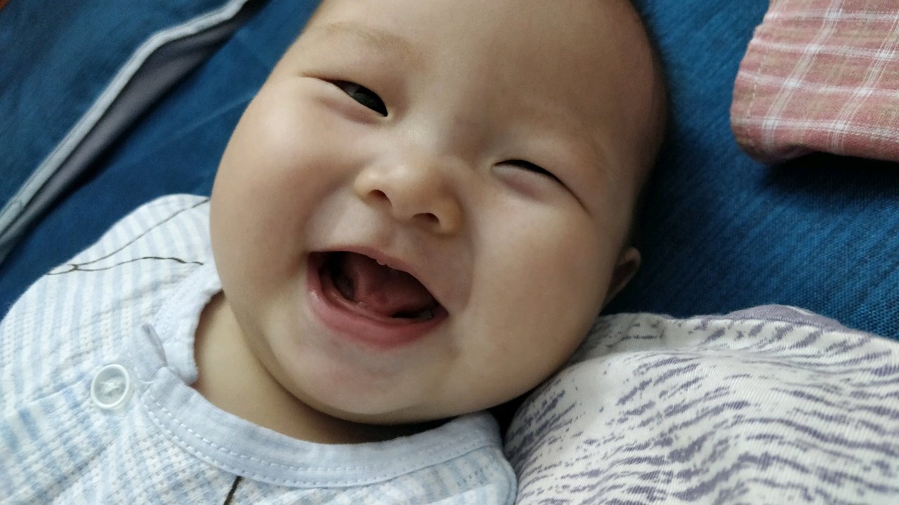 六个月六天，