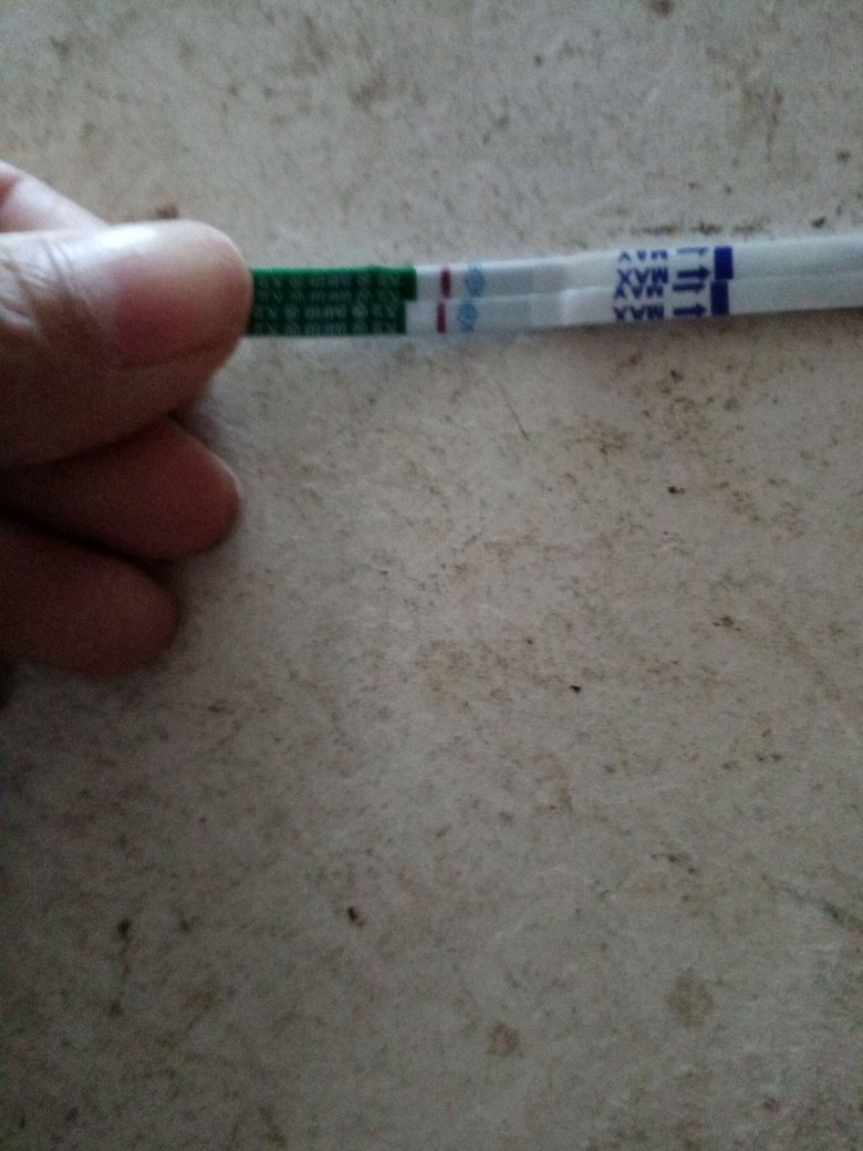 几天想早孕期😭😭