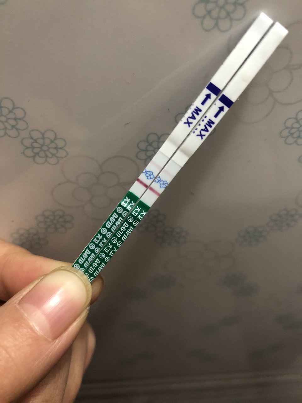 大宝11个月发现又有二胎了