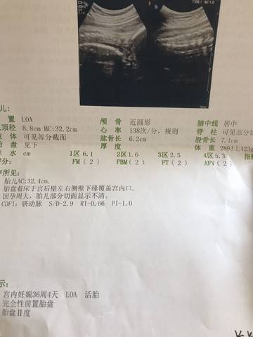 journal_insert_pic_1361296084