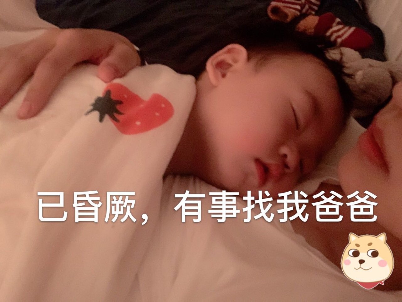宝宝一岁啦