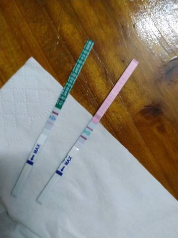 journal_insert_pic_1386627497