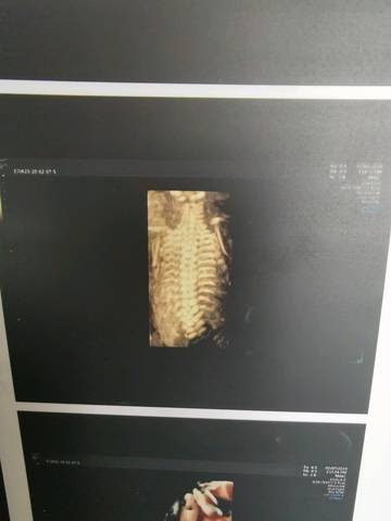 journal_insert_pic_1389289242