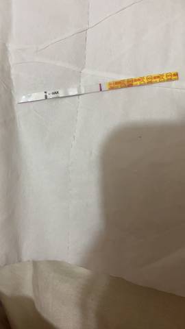 journal_insert_pic_1390954264