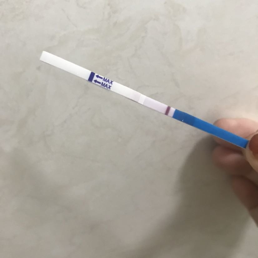 求助求助