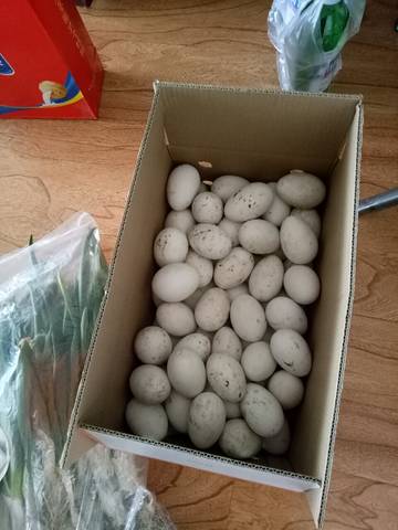 journal_insert_pic_1406175740