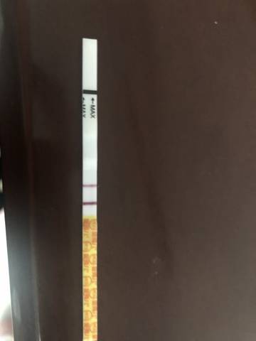 journal_insert_pic_1406783349