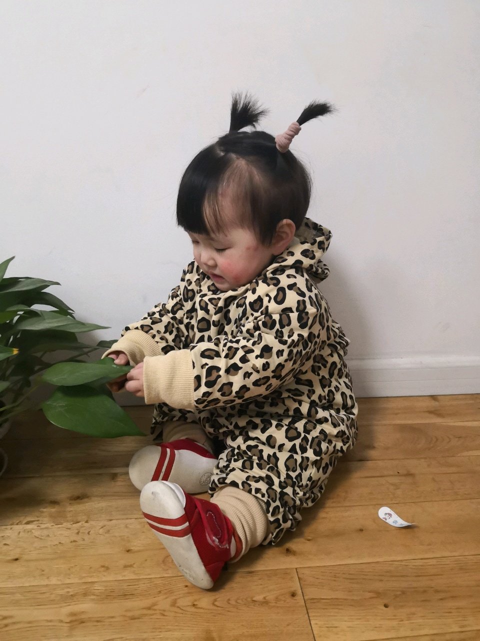 有1月1号生的宝宝吗？都聊聊是顺还是剖的。