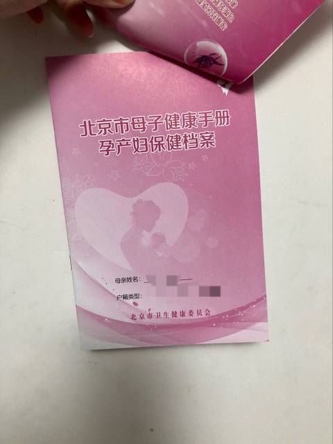 一目了然!孕妇健康手册"萍水相逢"-第2张图片-凯飞博客