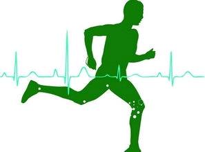 journal_insert_pic_1465086043