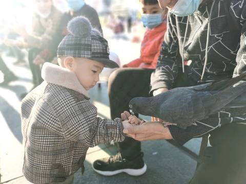 journal_insert_pic_1507896726