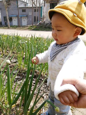 journal_insert_pic_1510941917