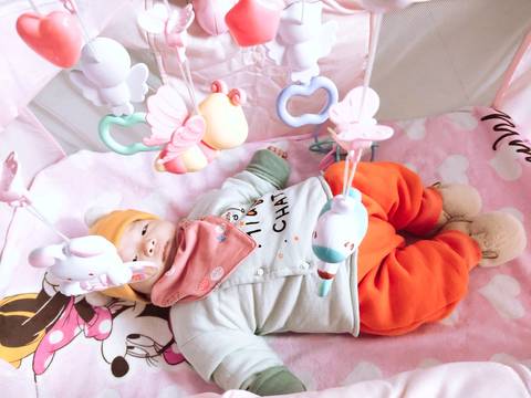 journal_insert_pic_1511082325