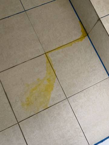 什么都没吃,早上吐黄水,特别苦,是怎么回事