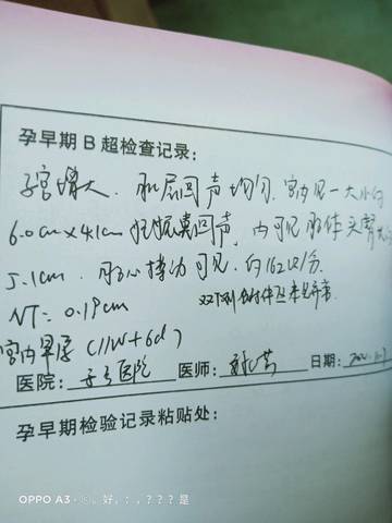 journal_insert_pic_1518831599