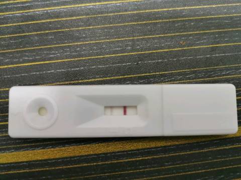 journal_insert_pic_1524440848