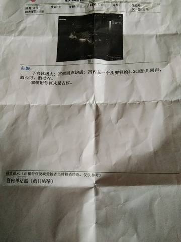 journal_insert_pic_1545255745
