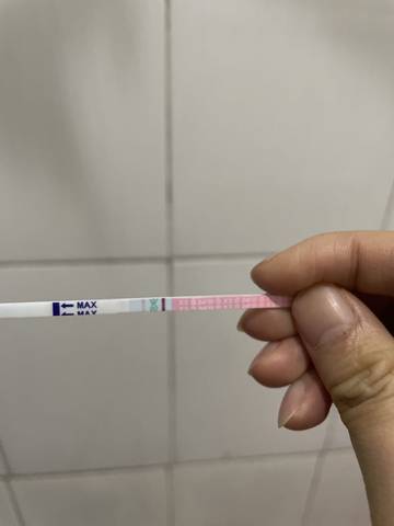 9号排卵,今早测了白板,看大家都说排卵试纸阳性也可能怀孕,刚又用排卵