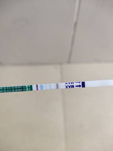 这个早早孕试纸这样是怀了么