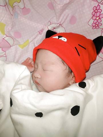 journal_insert_pic_1568375022