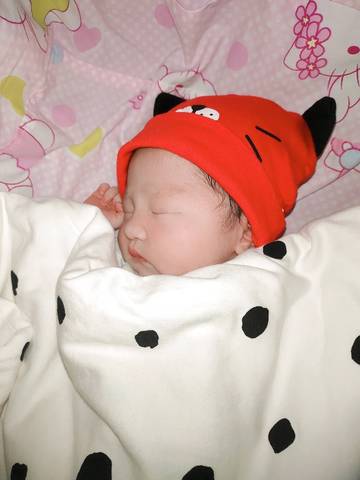 journal_insert_pic_1568375021