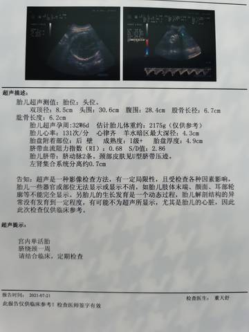 journal_insert_pic_1606013065