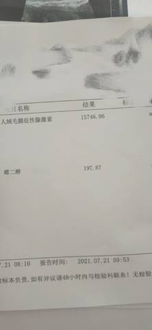 journal_insert_pic_1606909579