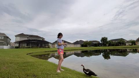 journal_insert_pic_1609192399