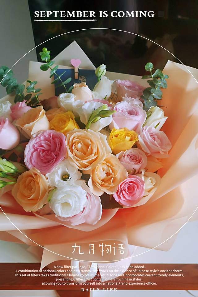 journal_insert_pic_1630626845