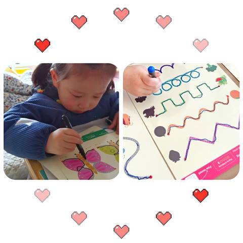 journal_insert_pic_1646177297