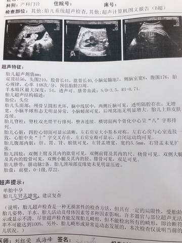 journal_insert_pic_1734582693