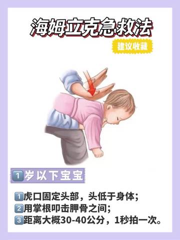 journal_insert_pic_1739963741