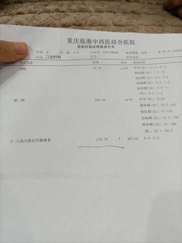 journal_insert_pic_1767138099
