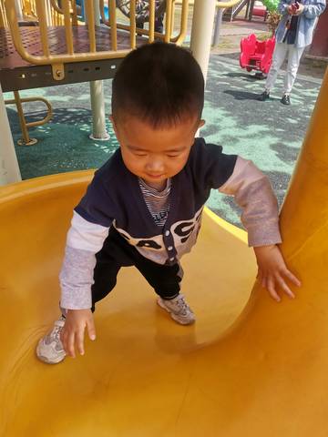 journal_insert_pic_1783119076