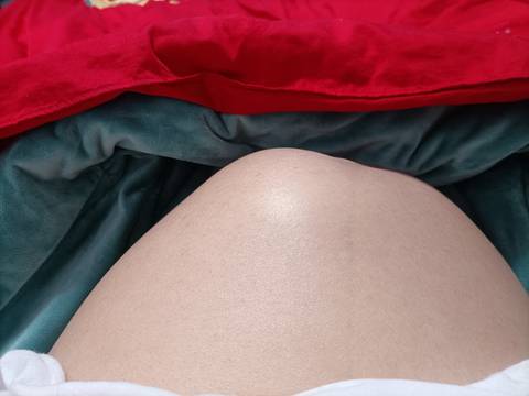 journal_insert_pic_1930401884