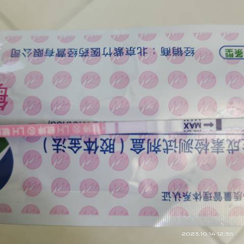 journal_insert_pic_4070801103