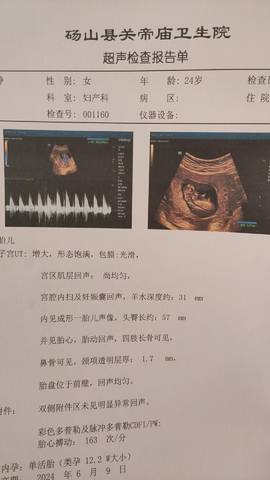 journal_insert_pic_4083622374