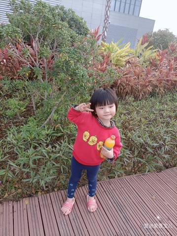 journal_insert_pic_4088757272