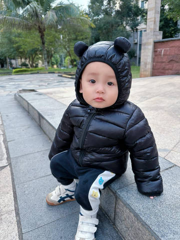 journal_insert_pic_4092172554