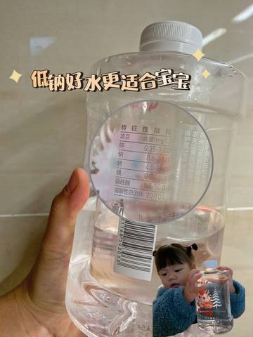 journal_insert_pic_4099735615