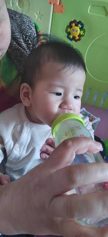 journal_insert_pic_4100411162