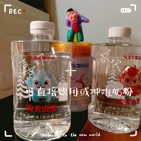 journal_insert_pic_4100747768