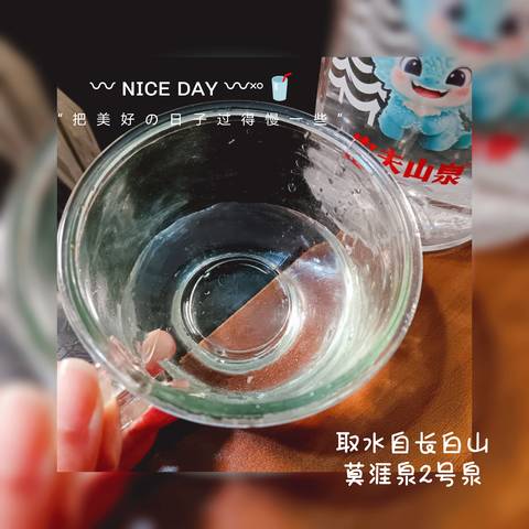 journal_insert_pic_4100747760