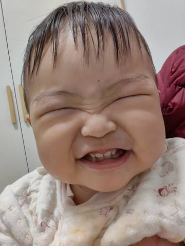 journal_insert_pic_4103106635