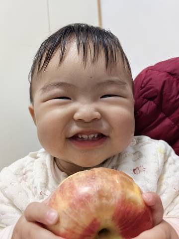 journal_insert_pic_4103106669